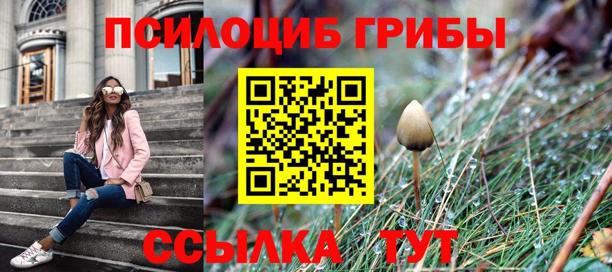 где купить наркоту  Вход с VPN  Галлюциногенные грибы мицелий  Калач-на-Дону  Галлюциногенные грибы прущие грибы 